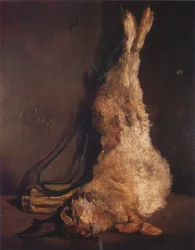 Rabbit